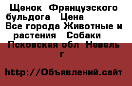 Щенок  Французского бульдога › Цена ­ 35 000 - Все города Животные и растения » Собаки   . Псковская обл.,Невель г.
